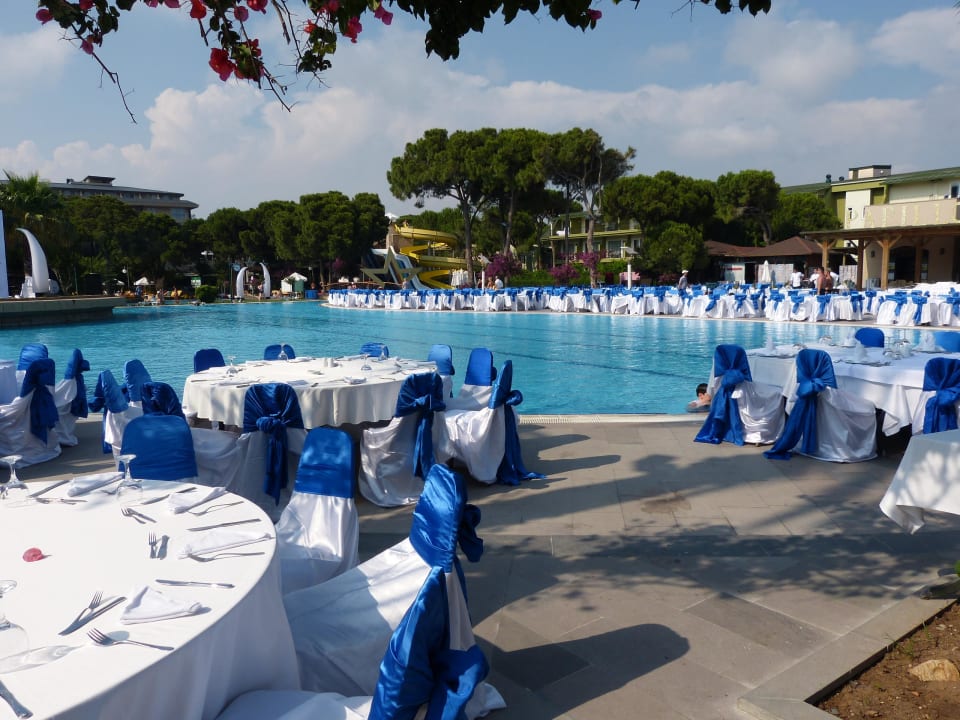 Vorbereitung zum Galaabend Papillon Ayscha