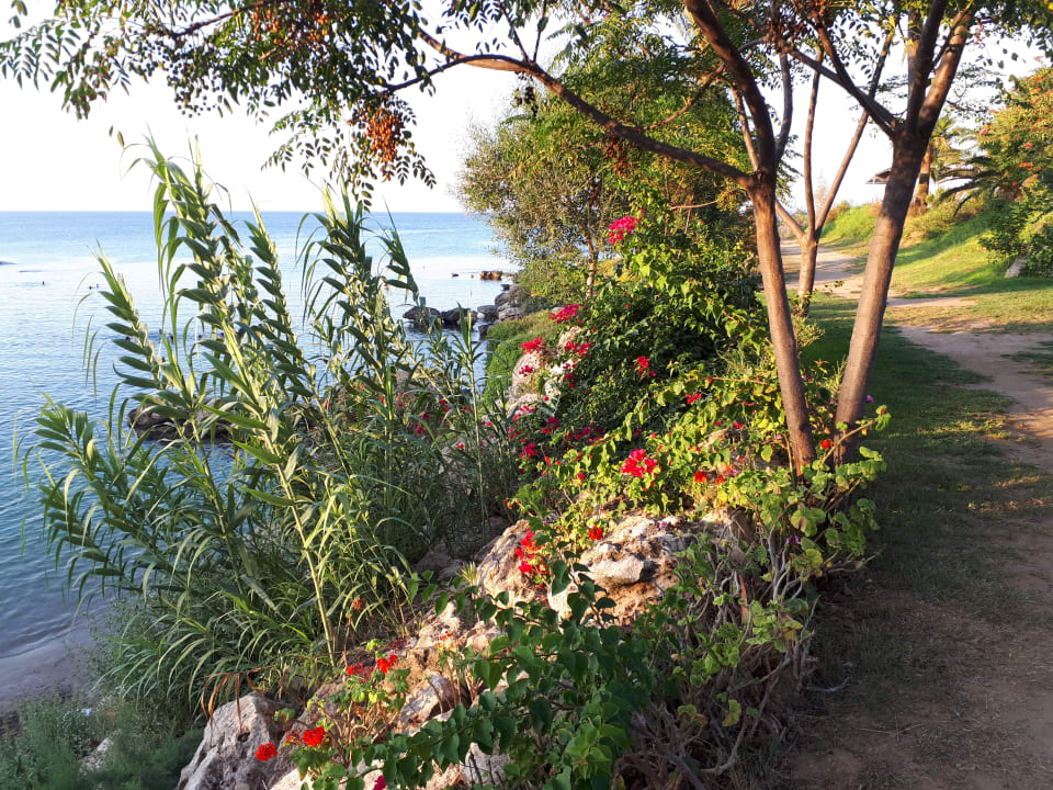 Gartenanlage Crystal Springs Beach Hotel