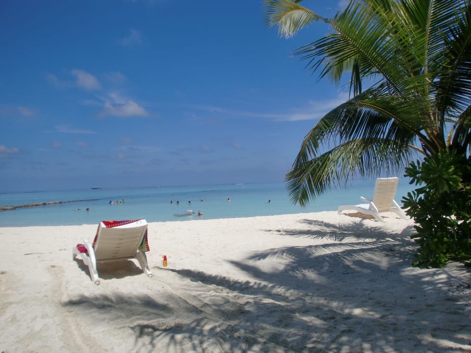 Traumstrand Summer Island Maldives