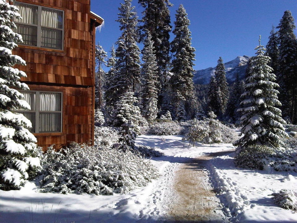 Winter Feeling ... Hotel Wuksachi Village & Lodge