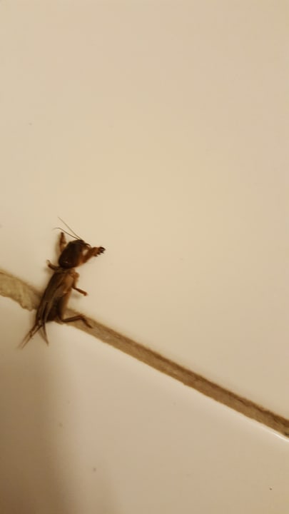 Zimmer Mahdia Palace Thalasso