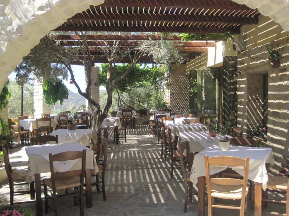 Terrasse Hotel Eleonas