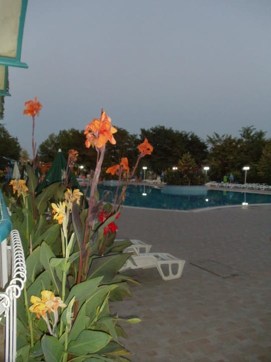 Abends am Pool Hotel Zefir Beach