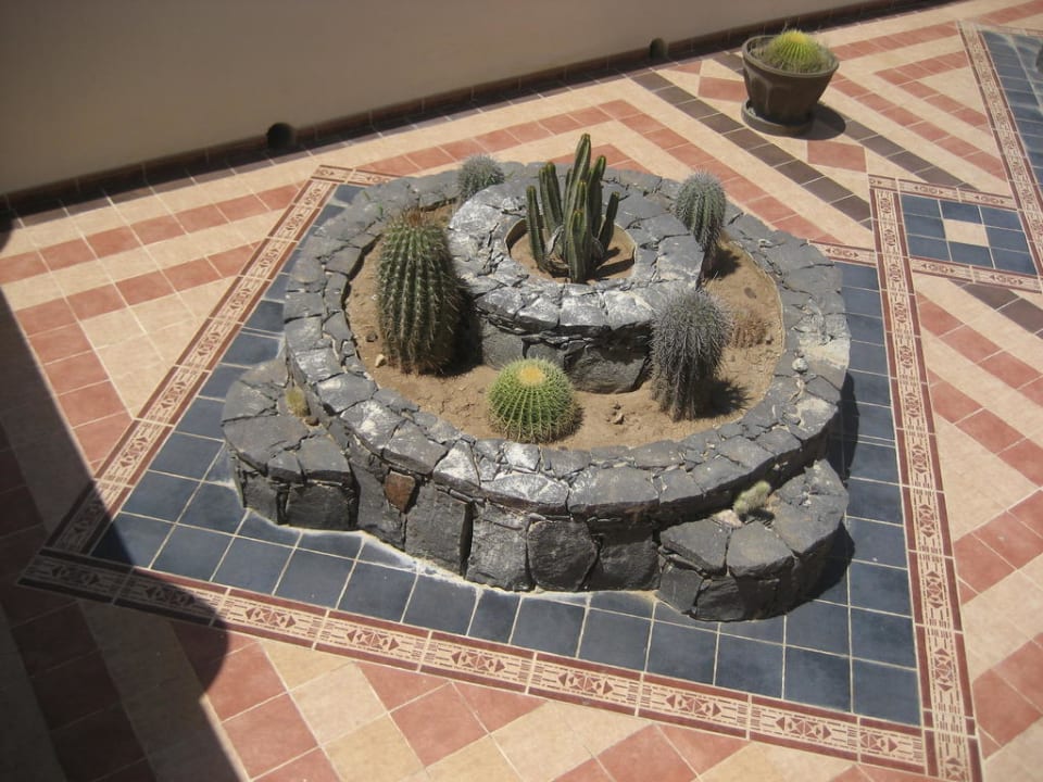 Kleiner Kaktusgarten Hotel Riu Karamboa