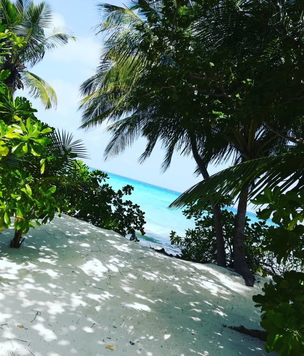 Strand Kuramathi Maldives