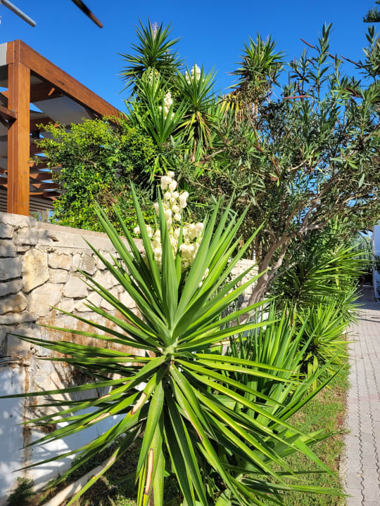 Außenansicht HARPIN Happy Days Beach Hotel