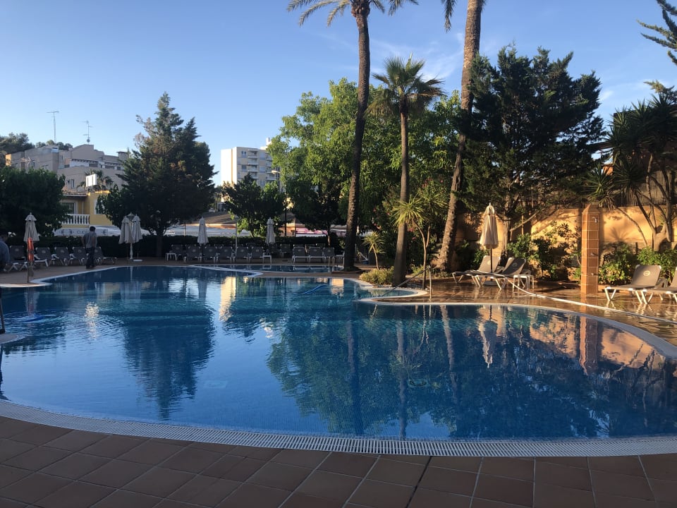 Pool Valentin Reina Paguera