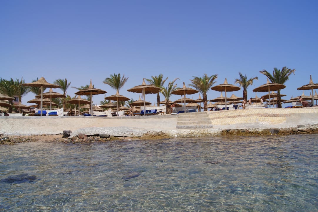 Hausriff Beach Albatros Resort