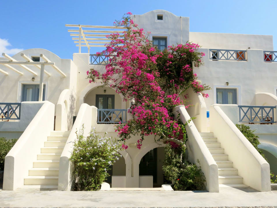 Blütenpracht am Hotel Atlantis Beach Villa