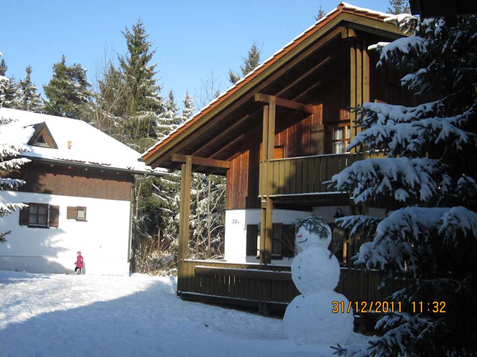 Schöner Schneemann Waldferiendorf Regen