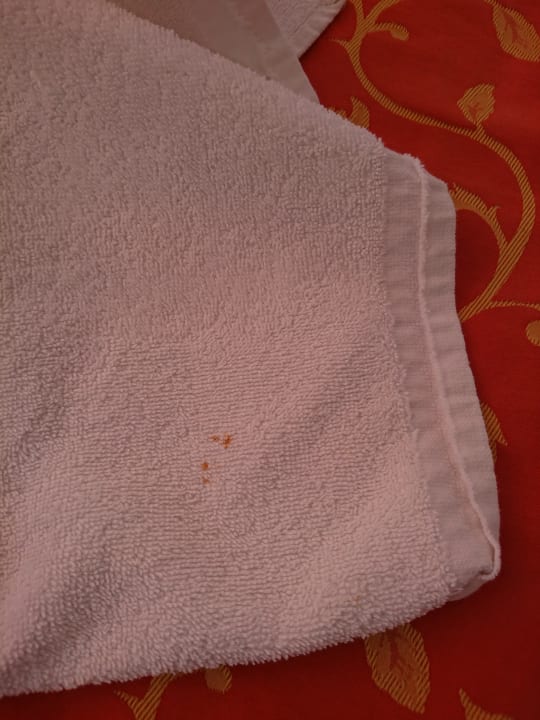 Zimmer Hotel Tia Maria