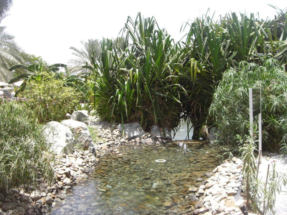 Schön angelegter Garten Hotel Le Meridien Al Aqah Beach Resort