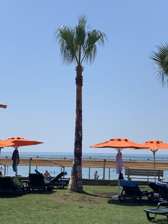 Ausblick Megasaray Club Belek