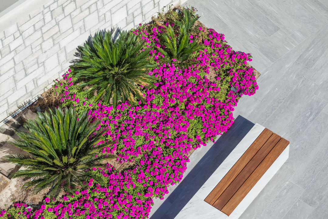 Gartenanlage Ammon Zeus Luxury Beach Hotel