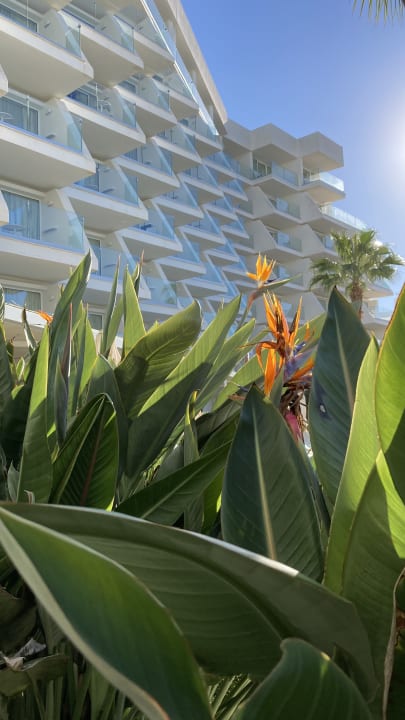 Außenansicht Iberostar Selection Playa de Palma