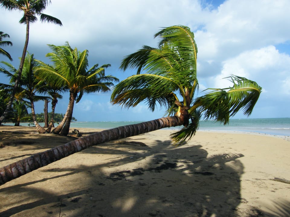 Paradisisch ! Bahia Principe Grand El Portillo