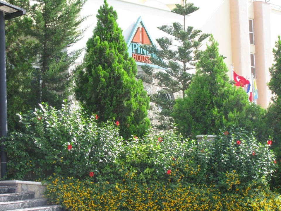 Pine house hotel - 4, турция-кемер-чамьюва Pine House by Werde Hotels