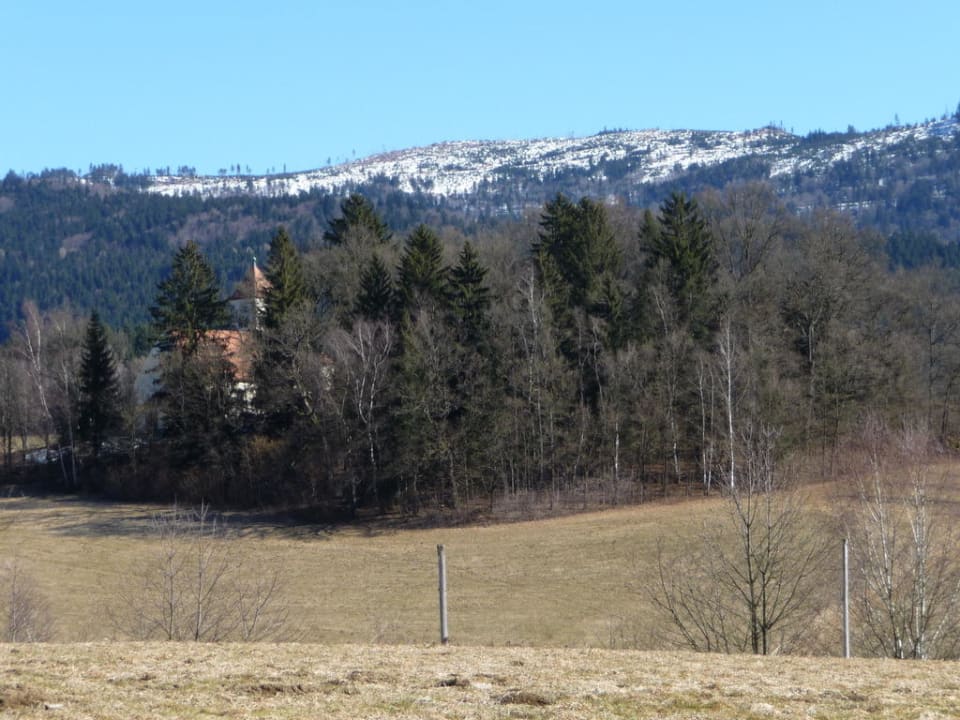 Blick zum Arberkamm Hotel Margeritenhof