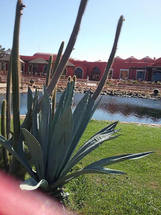 Gartenanlage Radisson Blu Resort, El Quseir