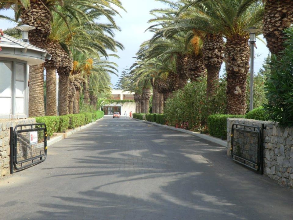Hotelzufahrt Phãea Cretan Malia