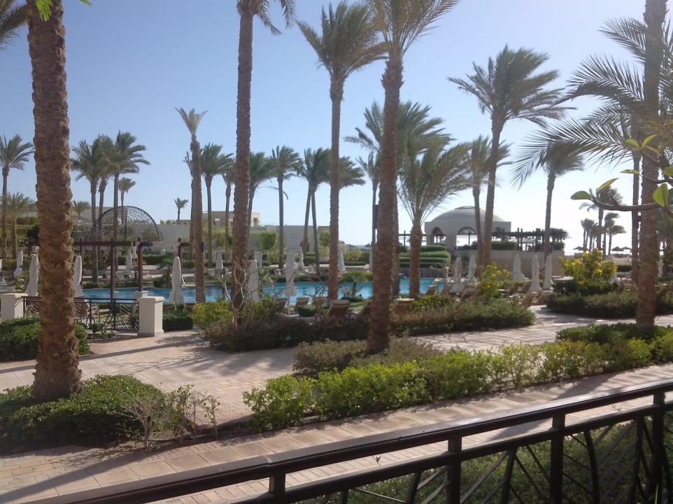 Pool Pickalbatros Palace Hotel-Port Ghalib