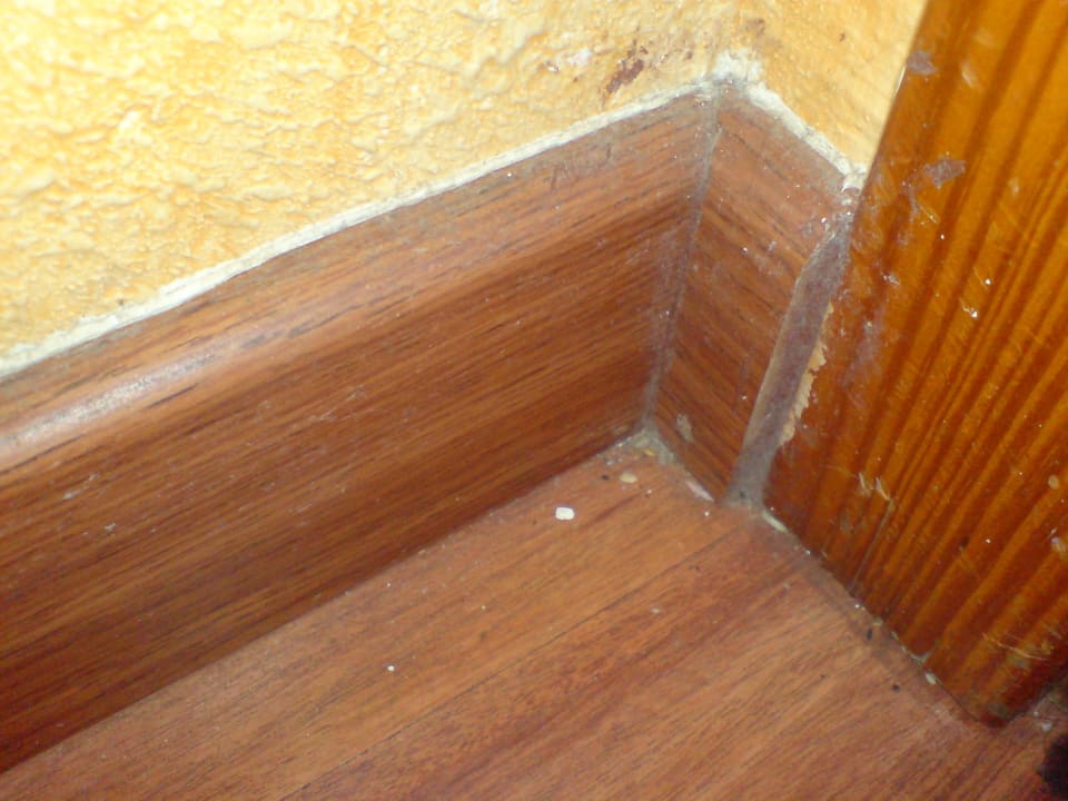 Animiert zum Kauf eines Staubsaugers Ole Tropical Tenerife