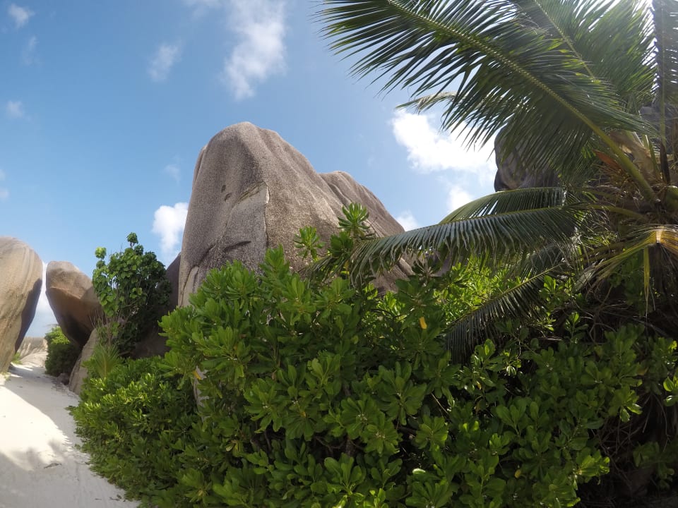Strand La Digue Island Lodge