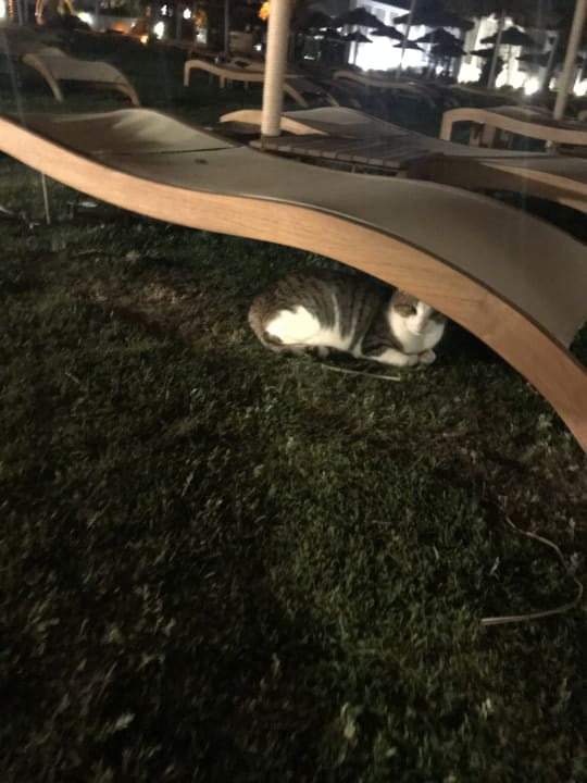 Sonstiges Maxx Royal Belek Golf Resort