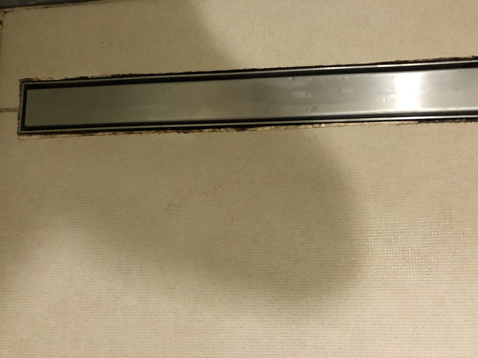 Zimmer Hotel Orfeus Park