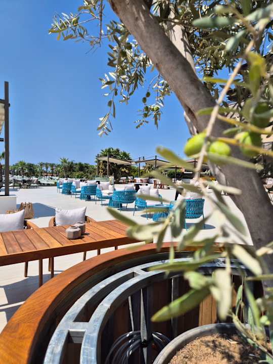 Gastro Calimera Serra Palace