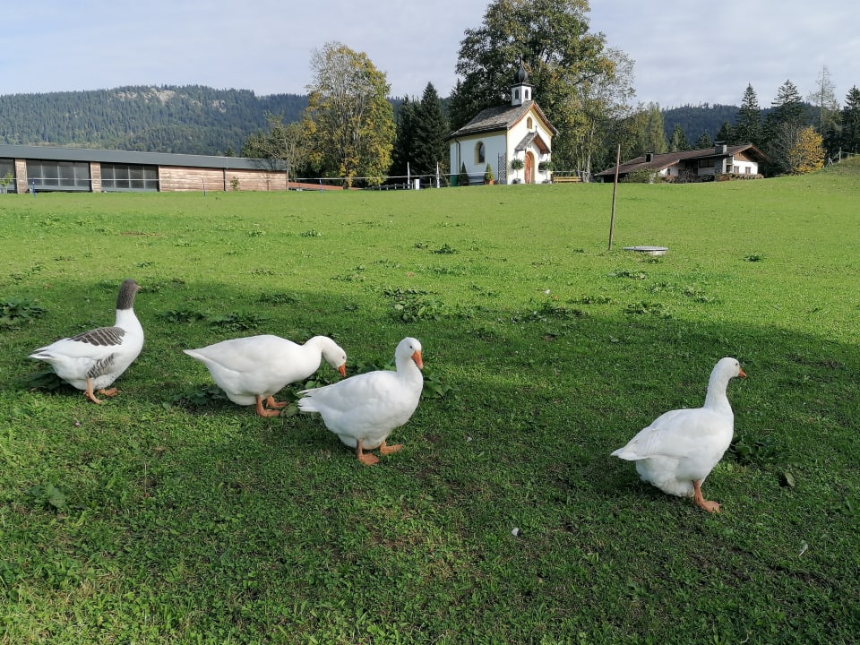Ausblick Wohlfühlresort Peternhof