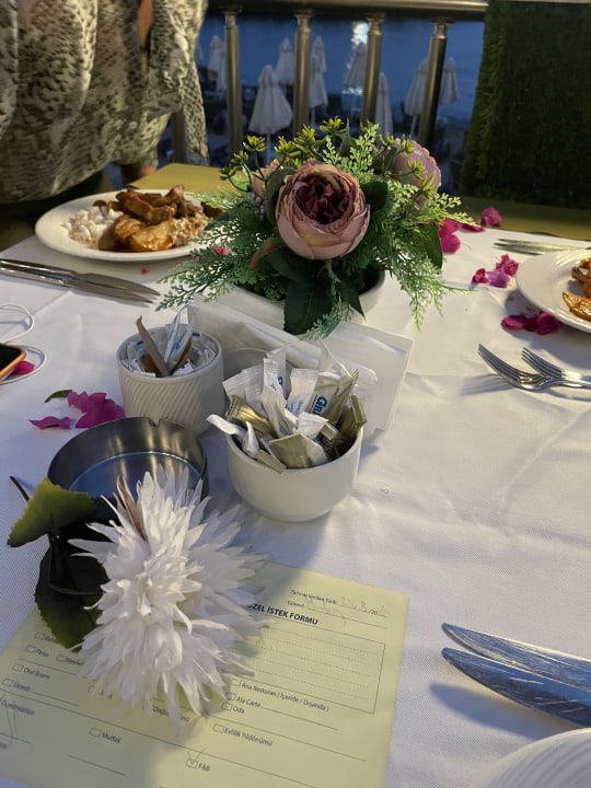 Gastro Granada Luxury Okurcalar