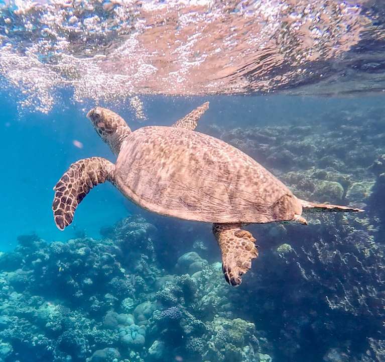 Sport & Freizeit Malikia Resort Abu Dabbab