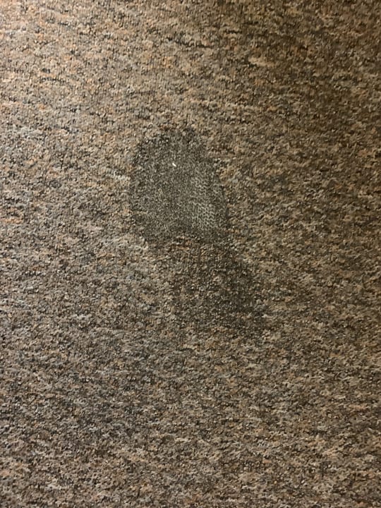 Zimmer Hotel zum Schwan