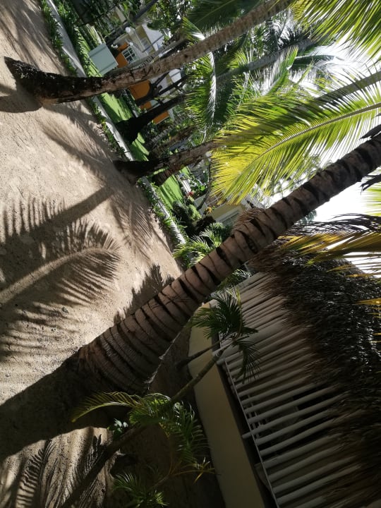 Strand Bahia Principe Grand El Portillo