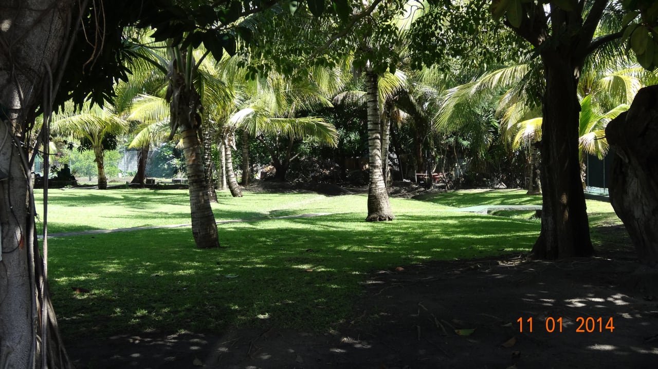 In der Nähe des Parkplatzes Radisson Grenada Beach Resort
