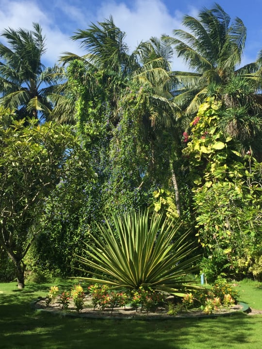 Gartenanlage Adaaran Select Meedhupparu Island Resort - Premium All Inclusive