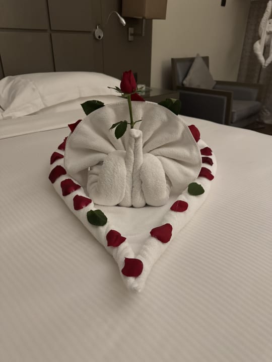 Zimmer The Cove Rotana Resort