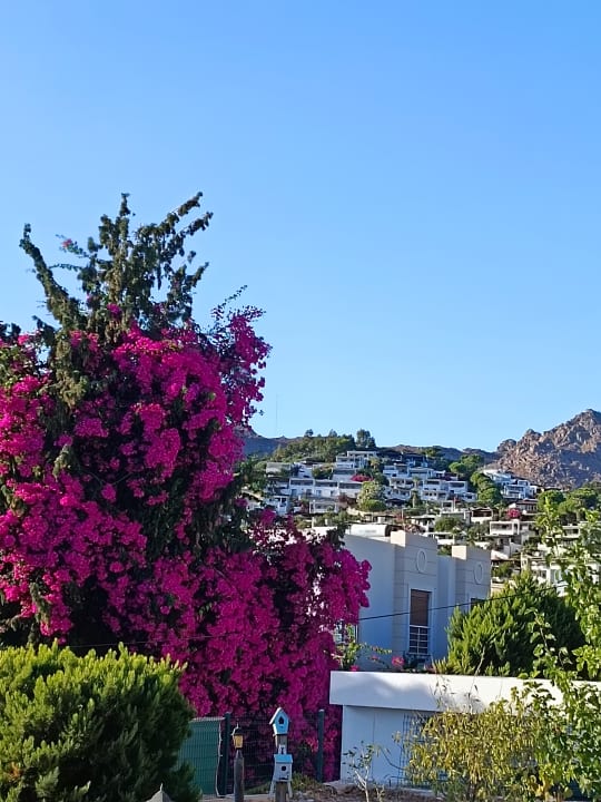 Sonstiges Bellazure Hotel