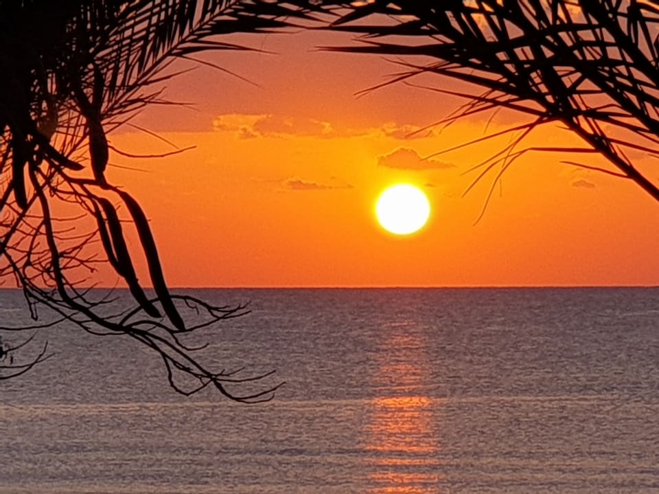 Ausblick Shams Alam Beach Resort