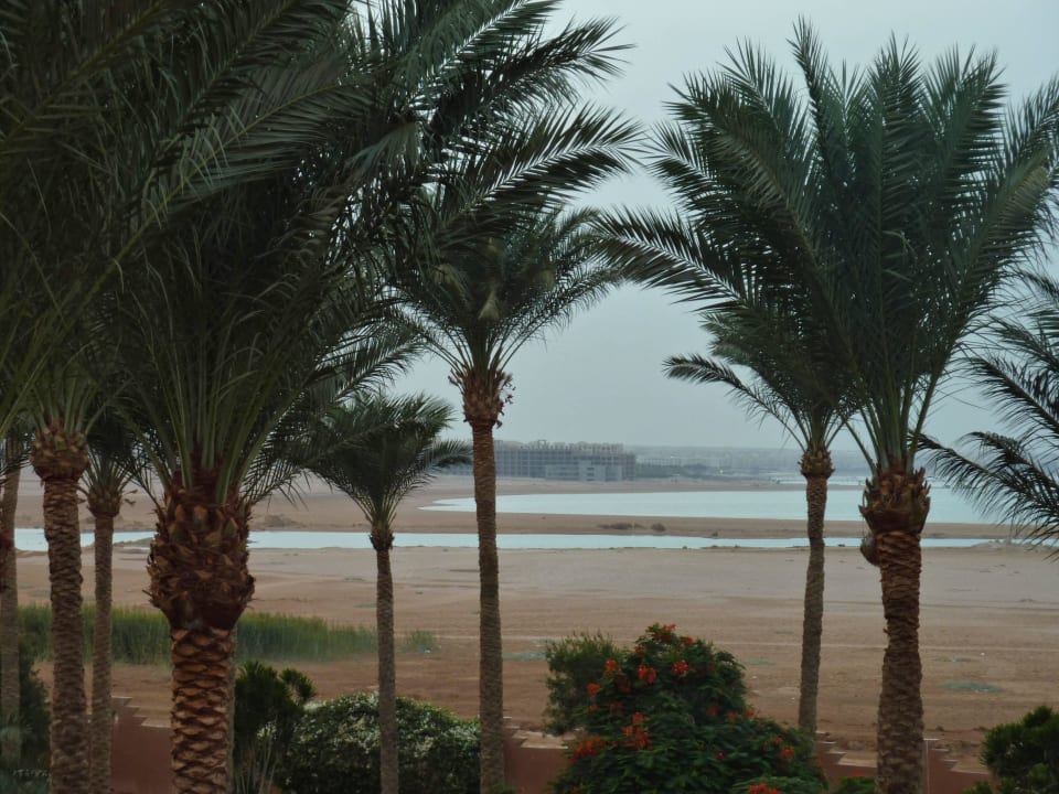 Blich Richtung Zufahrt Grand Makadi