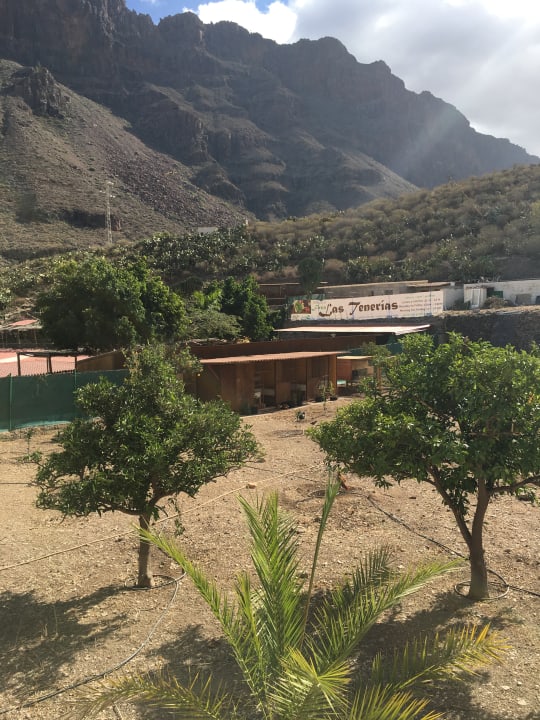 Gartenanlage Bio Finca - Las Tenerías