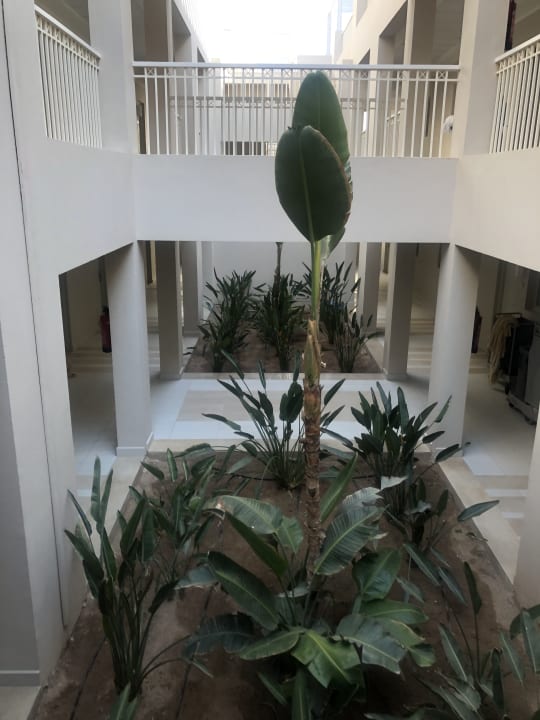 Sonstiges Jaz Aquaviva