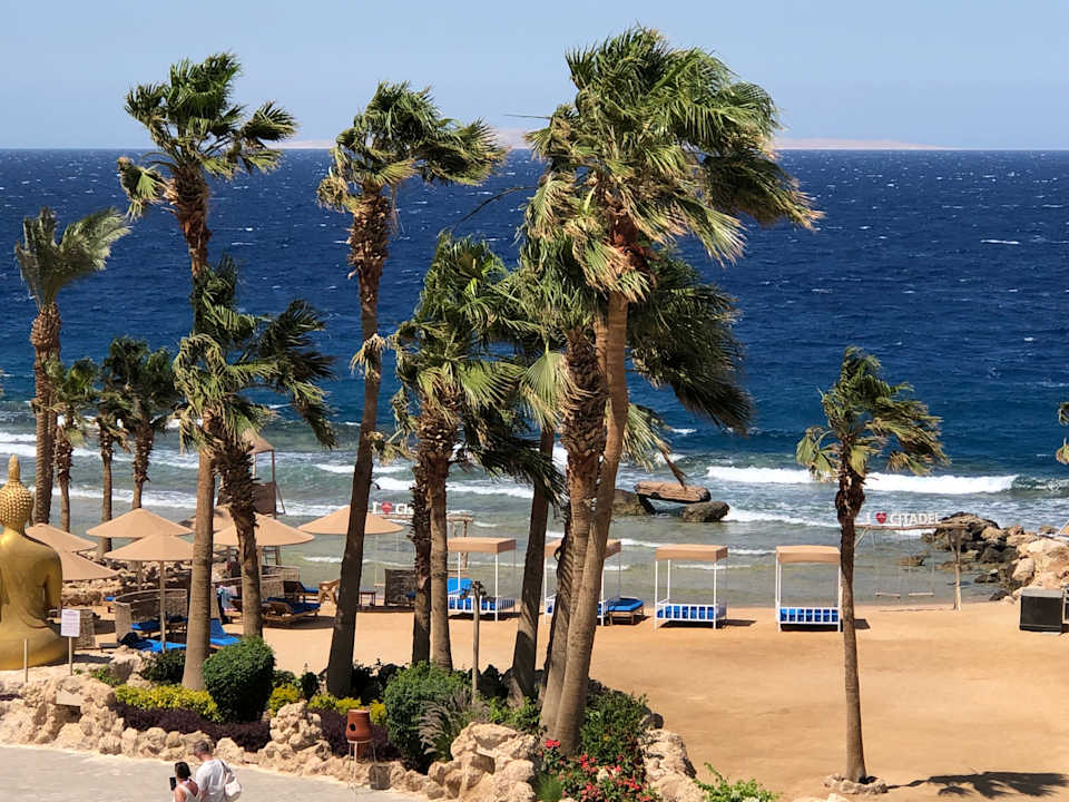 Strand Pickalbatros Citadel Resort