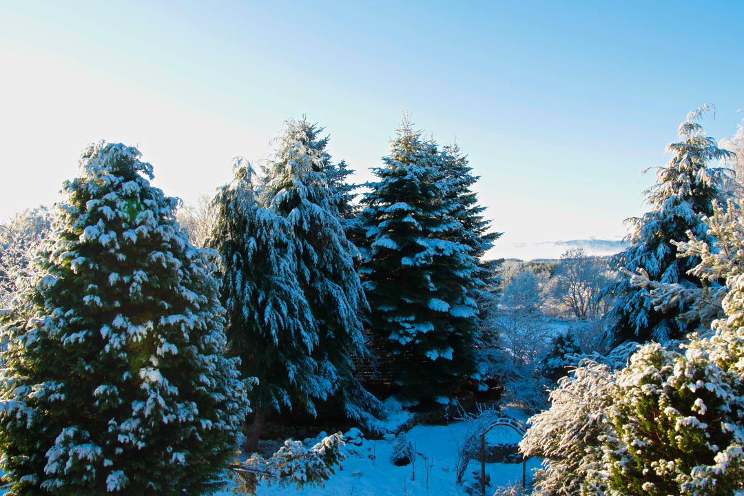 Ausblick Guesthouse Rosegrove