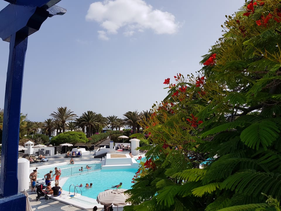 Pool Relaxia Olivina