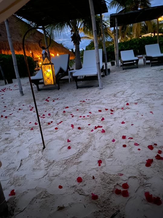 Strand Akumal Bay Beach & Wellness Resort