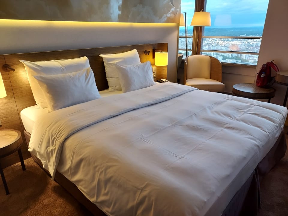 Zimmer Hotel Radisson Blu Lyon