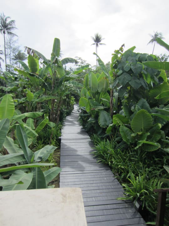 Der Steg zur Lobby Bangsak Village