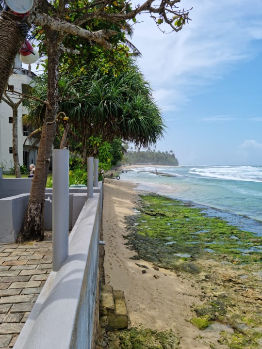 Ausblick Ayurveda Paragon Hotel